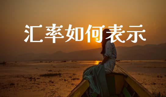 汇率如何表示_https://m.lcjysmgs.com_股权投资_第1张