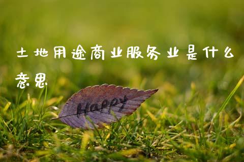土地用途商业服务业是什么意思_https://m.lcjysmgs.com_基金管理_第1张