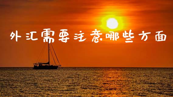 外汇需要注意哪些方面_https://m.lcjysmgs.com_基金管理_第1张