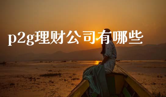 p2g理财公司有哪些_https://m.lcjysmgs.com_股票交易_第1张