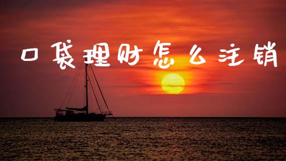 口袋理财怎么注销_https://m.lcjysmgs.com_金融服务_第1张
