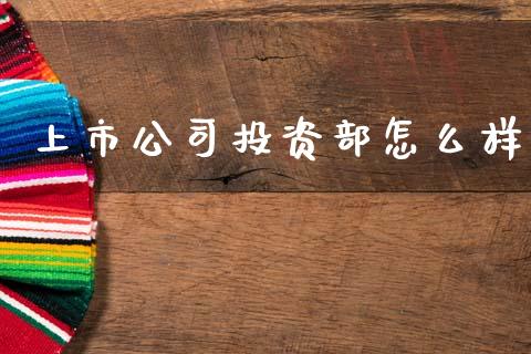 上市公司投资部怎么样_https://m.lcjysmgs.com_股票交易_第1张