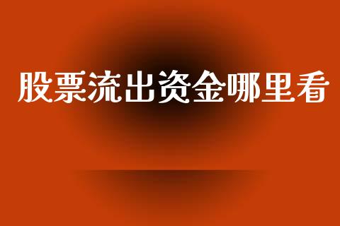 股票流出资金哪里看_https://m.lcjysmgs.com_股权投资_第1张