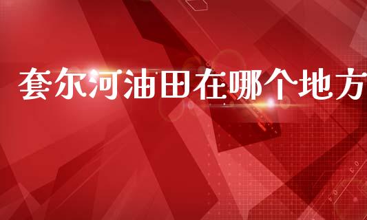 套尔河油田在哪个地方_https://m.lcjysmgs.com_金融服务_第1张