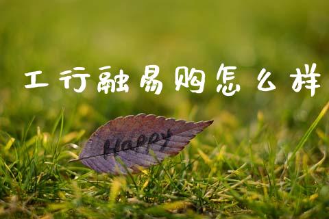 工行融易购怎么样_https://m.lcjysmgs.com_基金管理_第1张
