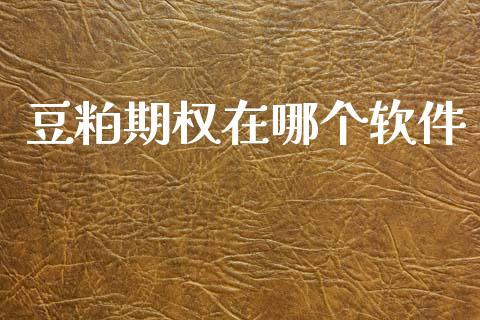 豆粕期权在哪个软件_https://m.lcjysmgs.com_股权投资_第1张