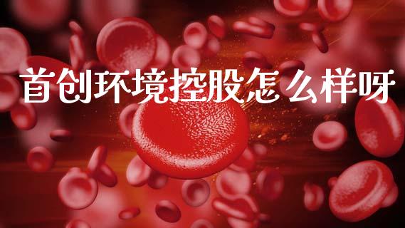 首创环境控股怎么样呀_https://m.lcjysmgs.com_基金管理_第1张