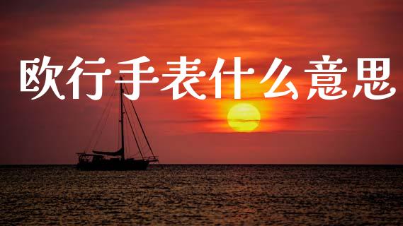 欧行手表什么意思_https://m.lcjysmgs.com_基金管理_第1张
