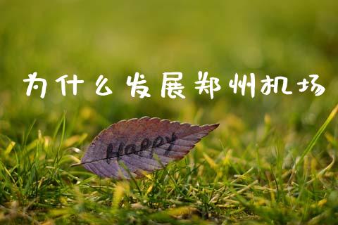 为什么发展郑州机场_https://m.lcjysmgs.com_金融服务_第1张