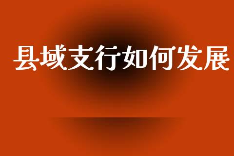 县域支行如何发展_https://m.lcjysmgs.com_股票交易_第1张