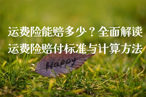运费险能赔多少？全面解读运费险赔付标准与计算方法_https://m.lcjysmgs.com_股权投资_第1张