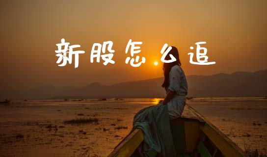 新股怎么追_https://m.lcjysmgs.com_金融服务_第1张