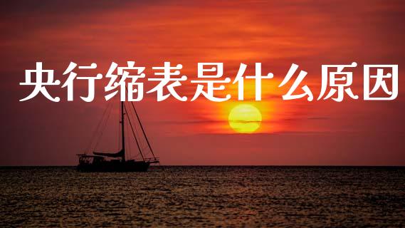 央行缩表是什么原因_https://m.lcjysmgs.com_金融服务_第1张