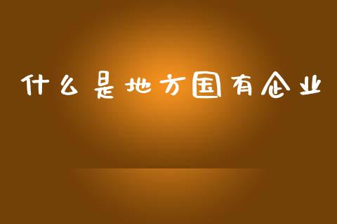 什么是地方国有企业_https://m.lcjysmgs.com_股权投资_第1张
