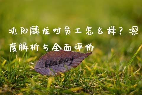 沈阳麟龙对员工怎么样？深度解析与全面评价_https://m.lcjysmgs.com_金融服务_第1张