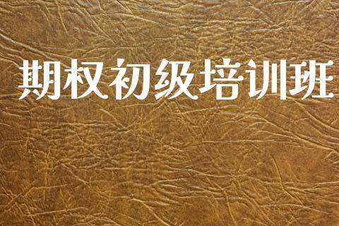 期权初级培训班_https://m.lcjysmgs.com_股票交易_第1张