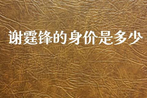谢霆锋的身价是多少_https://m.lcjysmgs.com_股权投资_第1张