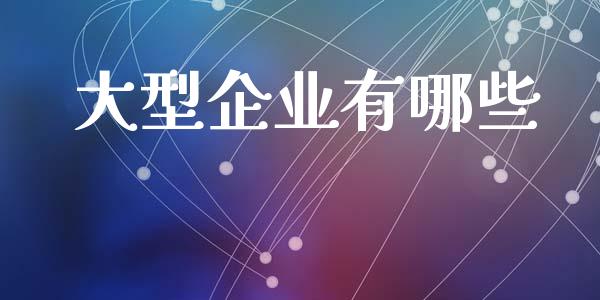 大型企业有哪些_https://m.lcjysmgs.com_股权投资_第1张