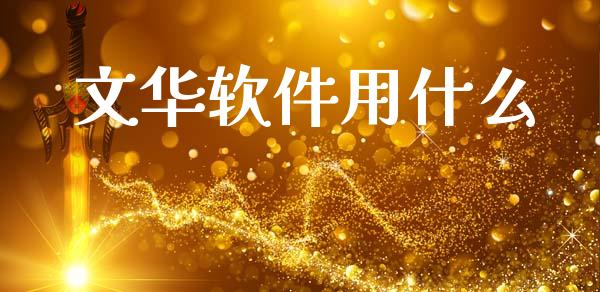 文华软件用什么_https://m.lcjysmgs.com_金融服务_第1张