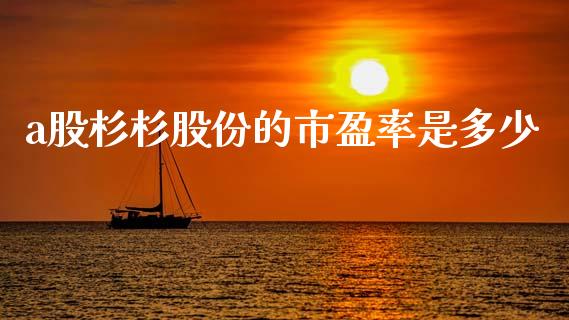 a股杉杉股份的市盈率是多少_https://m.lcjysmgs.com_基金管理_第1张