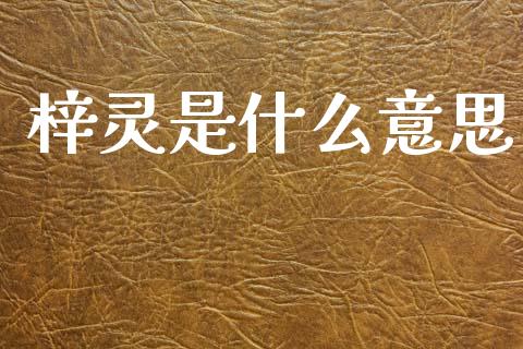 梓灵是什么意思_https://m.lcjysmgs.com_基金管理_第1张