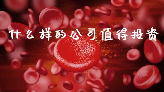 什么样的公司值得投资_https://m.lcjysmgs.com_基金管理_第1张
