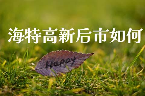 海特高新后市如何_https://m.lcjysmgs.com_金融服务_第1张
