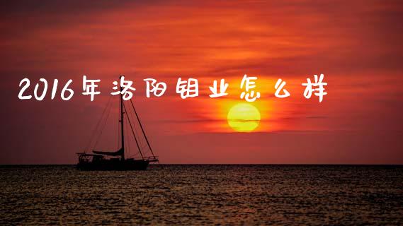 2016年洛阳钼业怎么样_https://m.lcjysmgs.com_股权投资_第1张