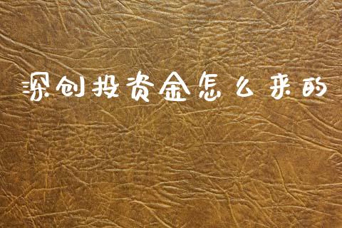 深创投资金怎么来的_https://m.lcjysmgs.com_股权投资_第1张