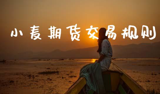 小麦期货交易规则_https://m.lcjysmgs.com_股票交易_第1张