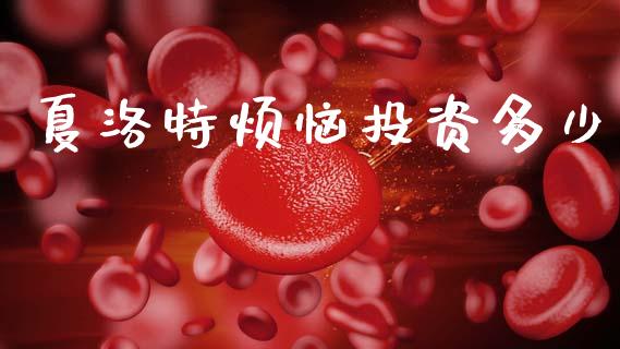 夏洛特烦恼投资多少_https://m.lcjysmgs.com_基金管理_第1张