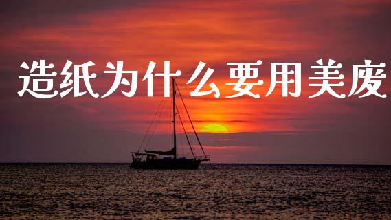 造纸为什么要用美废_https://m.lcjysmgs.com_基金管理_第1张