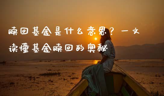 赎回基金是什么意思？一文读懂基金赎回的奥秘_https://m.lcjysmgs.com_基金管理_第1张