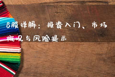 B股详解：投资入门、市场概况与风险提示_https://m.lcjysmgs.com_股票交易_第1张