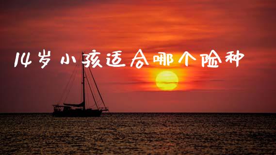 14岁小孩适合哪个险种_https://m.lcjysmgs.com_股权投资_第1张