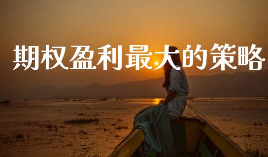 期权盈利最大的策略_https://m.lcjysmgs.com_基金管理_第1张