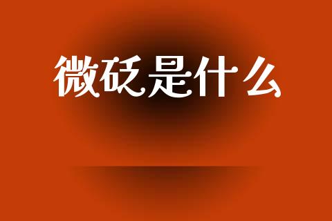 微砭是什么_https://m.lcjysmgs.com_股票交易_第1张