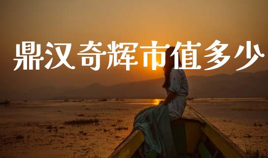 鼎汉奇辉市值多少_https://m.lcjysmgs.com_基金管理_第1张