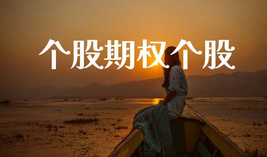 个股期权个股_https://m.lcjysmgs.com_股票交易_第1张