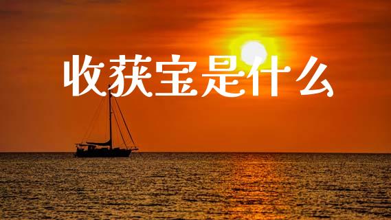 收获宝是什么_https://m.lcjysmgs.com_金融服务_第1张