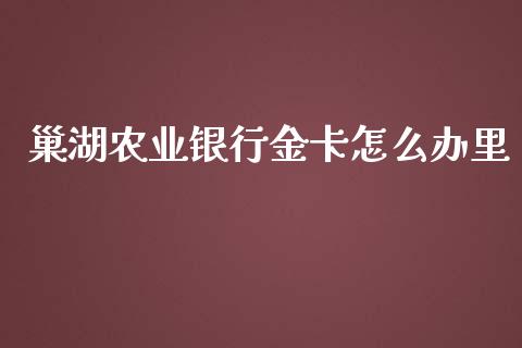 巢湖农业银行金卡怎么办里_https://m.lcjysmgs.com_基金管理_第1张