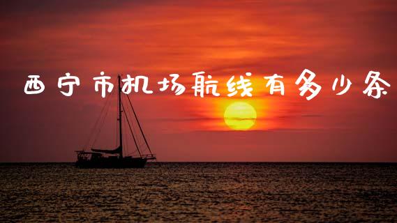 西宁市机场航线有多少条_https://m.lcjysmgs.com_股权投资_第1张
