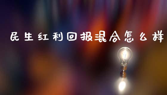 民生红利回报混合怎么样_https://m.lcjysmgs.com_股票交易_第1张