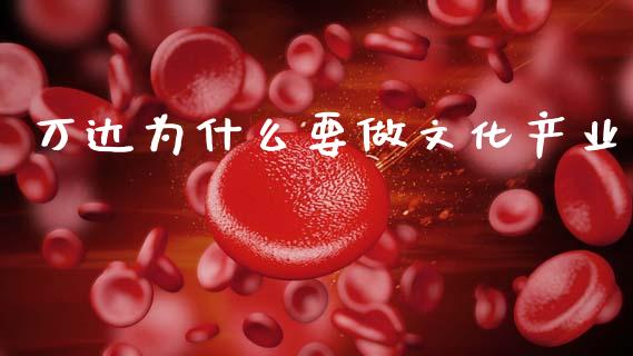 万达为什么要做文化产业_https://m.lcjysmgs.com_股权投资_第1张