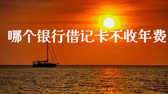 哪个银行借记卡不收年费_https://m.lcjysmgs.com_股权投资_第1张