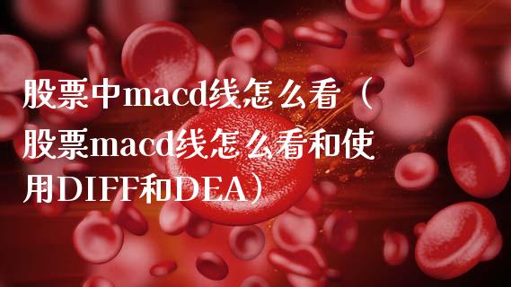 股票中macd线怎么看（股票macd线怎么看和使用DIFF和DEA）_https://m.lcjysmgs.com_股权投资_第1张