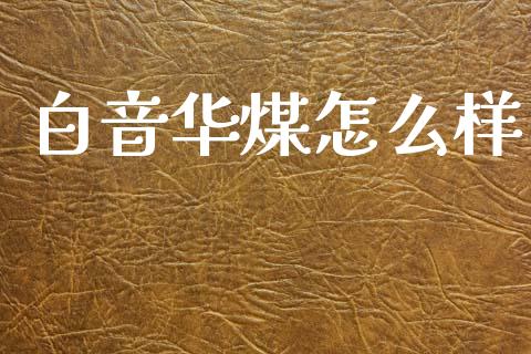 白音华煤怎么样_https://m.lcjysmgs.com_基金管理_第1张