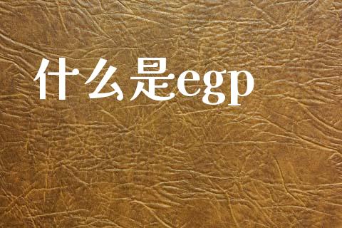 什么是egp_https://m.lcjysmgs.com_股权投资_第1张