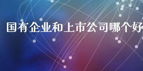 国有企业和上市公司哪个好_https://m.lcjysmgs.com_股票交易_第1张