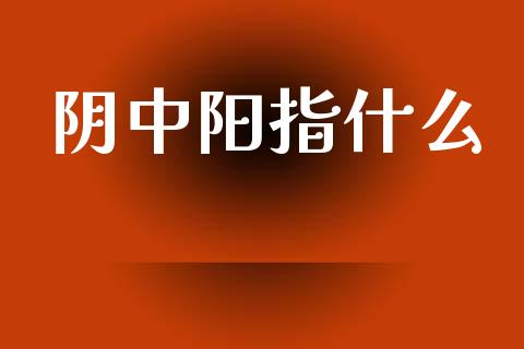 阴中阳指什么_https://m.lcjysmgs.com_股权投资_第1张